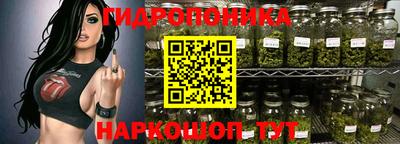 мет Дубна