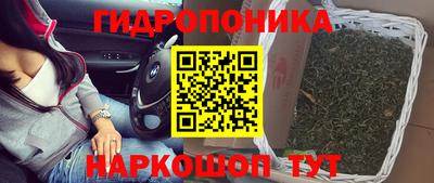 трава Донецк